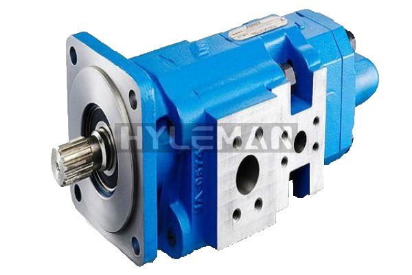 p315-cast-iron-bushing-gear-pump-2a2bc87c-800x800 p315-cast-iron-bushing-gear-pump-2a2bc87c-800x800