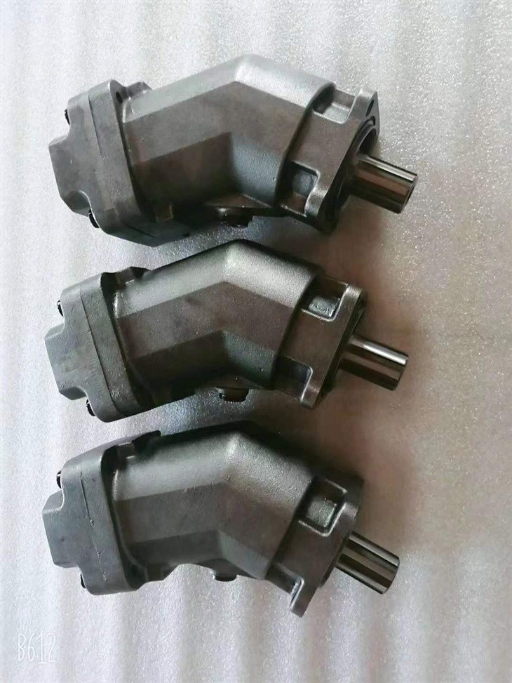 Rexroth Radial Double Action Piston Pump And Motors A2FO