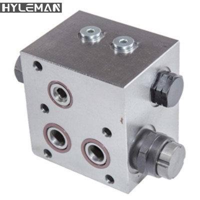 Sauer PV22/MF/20/21/22/23/24 Part de recanvi de bomba hidràulica